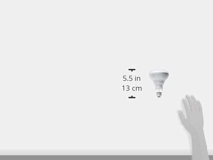 PHILIPS 408662 Soft White 65-watt Br30 Indoor Flood Light Bulb, 4 Count (Pack of 1)