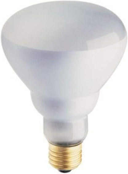 PHILIPS 408662 Soft White 65-watt Br30 Indoor Flood Light Bulb, 4 Count (Pack of 1)
